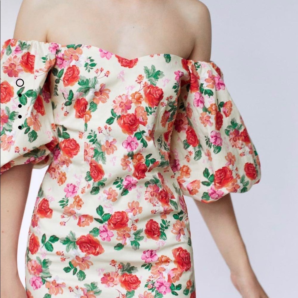NWOT Zara Floral Dress with Puff Sleeve